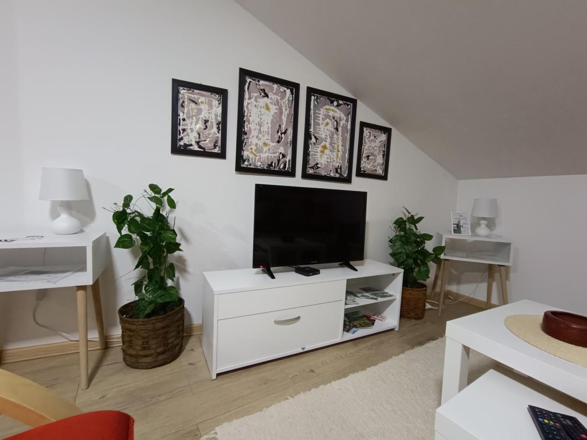 Apartmani S - Dsn Kraljevo Værelse billede